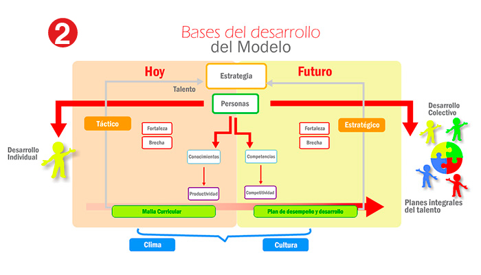 Modelo